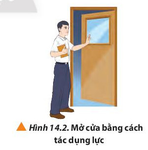 Xe đẩy tay đơn giản và tiện dụng