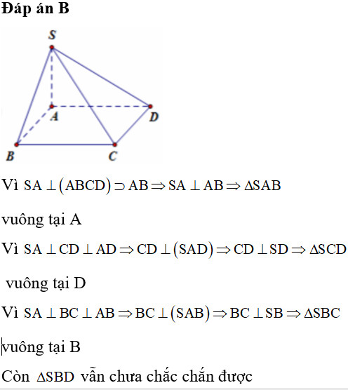 Hình chóp S.ABCD có đáy ABCD là hình chữ nhật và cạnh bên SA vuông góc với mặt phẳng đáy.