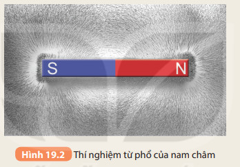 Mạt sắt tự động sắp xếp theo hình dạng của các đường sức từ khi được rắc lên một tờ giấy đặt trên nam châm.