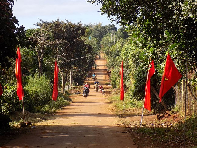 Ruộng lúa nước, một hình thức canh tác nông nghiệp truyền thống của người Kinh.