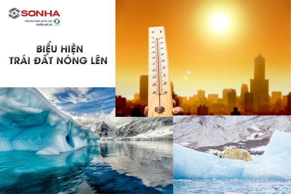 Mực nước biển dâng cao đe dọa các thành phố ven biển, gây ra ngập lụt và xói mòn bờ biển