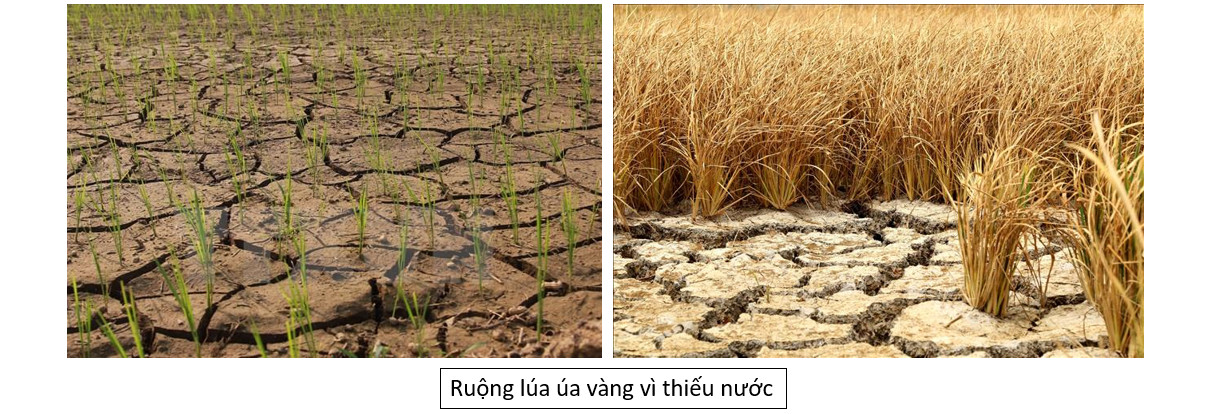 Người bị thiếu nước
