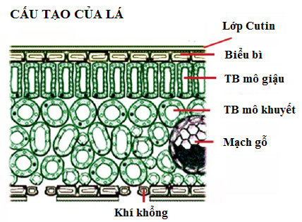 Học sinh học tập qua tài liệu trực tuyến