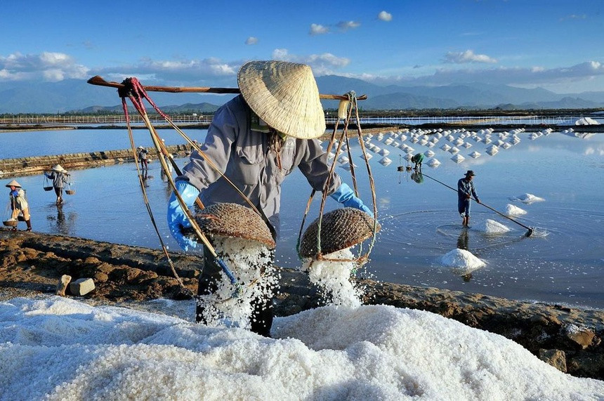 diêm dân thu hoạch muối dưới ánh nắng
