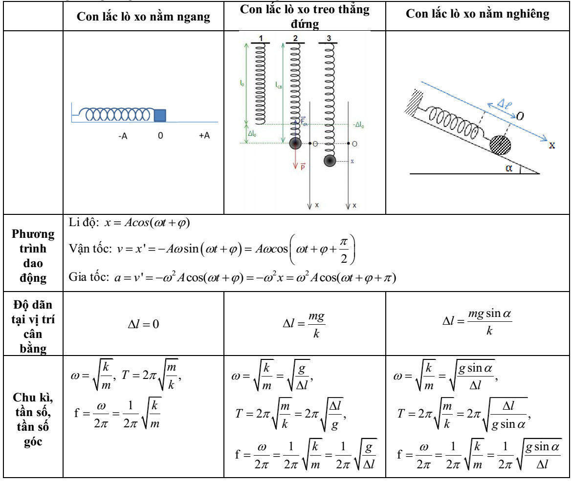 Con lắc lò xo thẳng đứng
