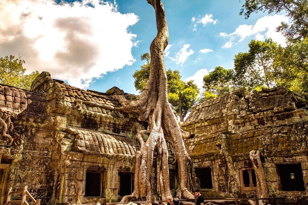 Ta Prohm - Ngôi đền độc đáo với cây cổ thụ