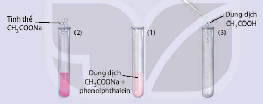 Thí nghiệm về ảnh hưởng của nồng độ đến cân bằng hóa học