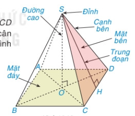 Chóp tứ giác đều có các yếu tố hình học cơ bản