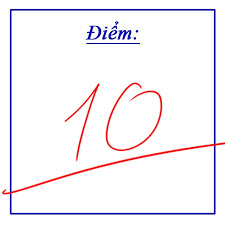 Hình ảnh minh họa các bước viết văn nghị luận xã hội, từ xác định yêu cầu đề bài đến kiểm tra và chỉnh sửa.