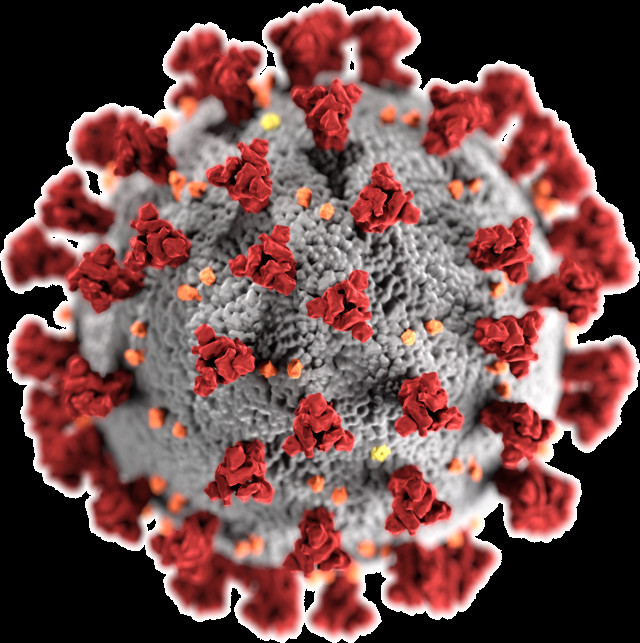Hình ảnh virus Corona
