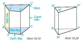 Hình lăng trụ đứng tam giác với các thành phần được chú thích rõ ràng