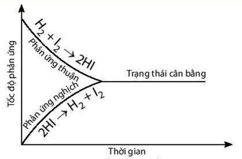 Biểu đồ thể hiện sự thay đổi số mol các chất trong phản ứng theo thời gian