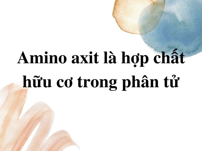 Cấu trúc phân tử amino axit minh họa các nhóm chức chính