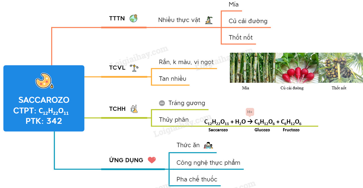 Sơ đồ tư duy về quy trình sản xuất saccarozơ từ cây mía