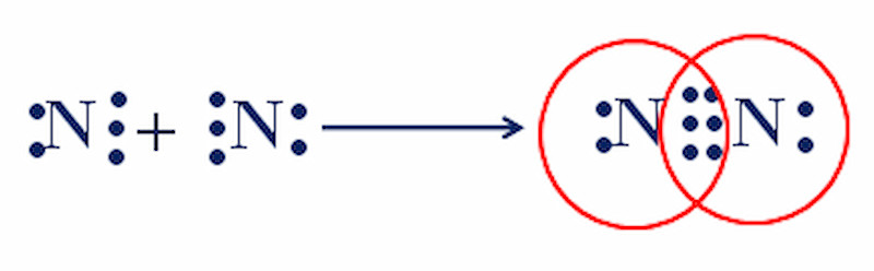 Hình ảnh minh họa sự tấn công của nucleophile vào carbon mang điện tích dương một phần trong nhóm carbonyl.