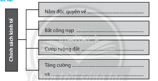 Em hãy điền vào chỗ trống những từ và cụm từ thể hiện chính sách bóc lột kinh tế của chính quyền phong kiến đô hộ phương Bắc đối với nước ta.