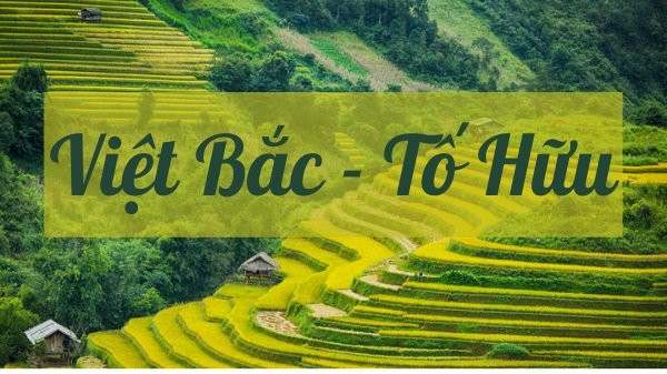 Rừng xanh hoa chuối đỏ tươi, vẻ đẹp đặc trưng của Việt Bắc