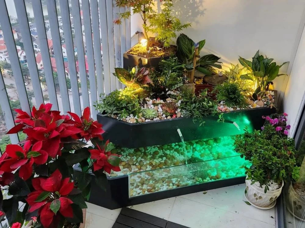 Bể cá xi măng kết hợp kính mang đến vẻ đẹp hiện đại và gần gũi với thiên nhiên