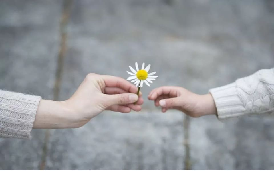 Biểu hiện của lòng biết ơn.