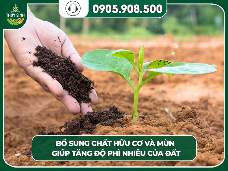 Bón phân hữu cơ giúp tăng độ phì nhiêu