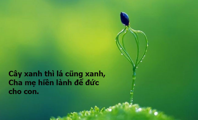 Cha mẹ hiền lành để đức cho con, câu ca dao thể hiện sự ảnh hưởng của cha mẹ đến con cái.