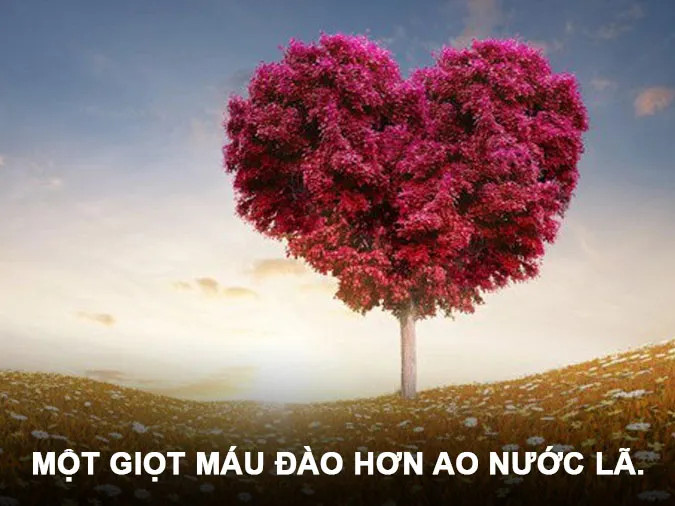 Hình ảnh minh họa về tình yêu thương con người trong ca dao tục ngữ