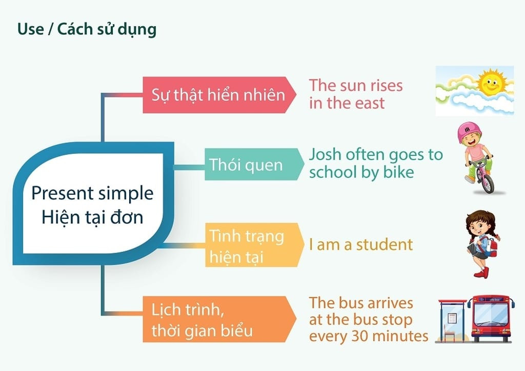 Công thức thì hiện tại đơn