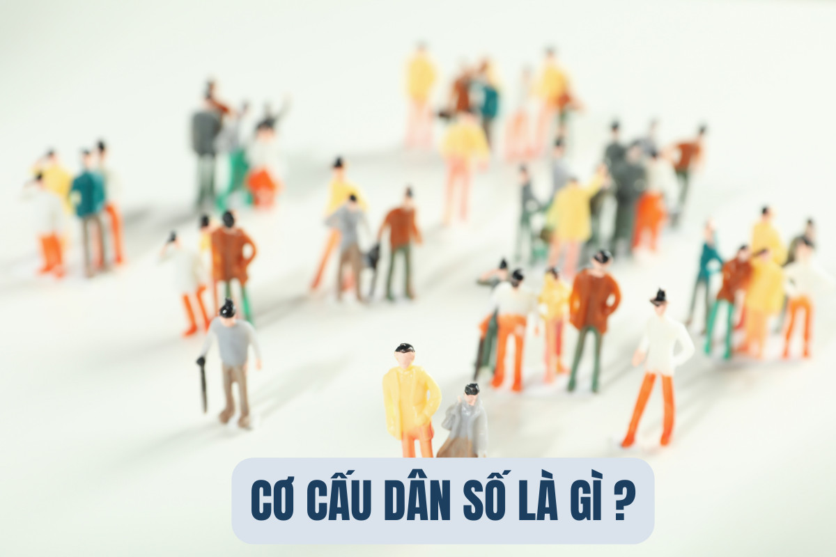 Cơ cấu dân số là gì?