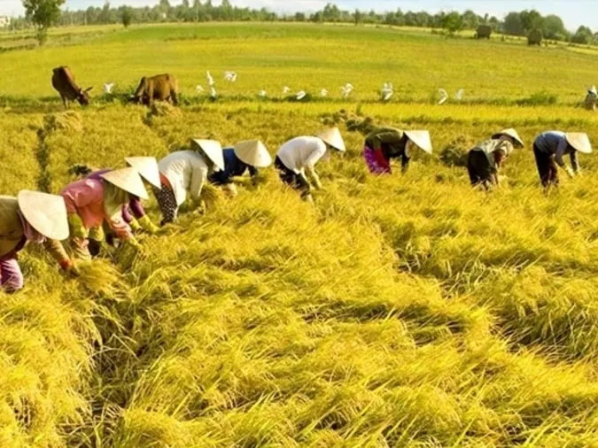 Lao động trí óc cũng là "làm"