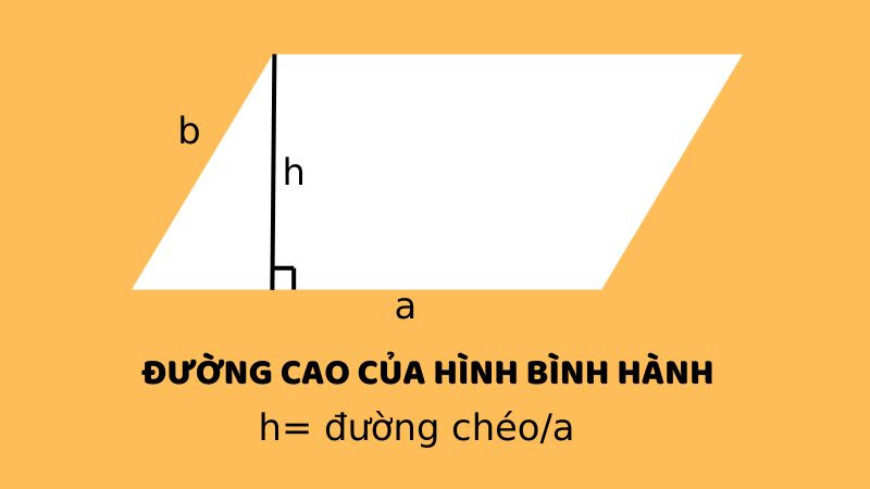 Công thức tính đường cao hình bình hành: h = S / a.