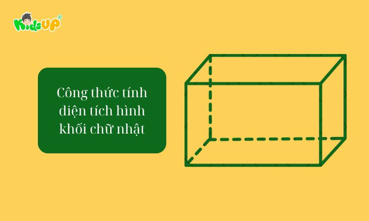 Công thức tính diện tích và thể tích khối hộp chữ nhật