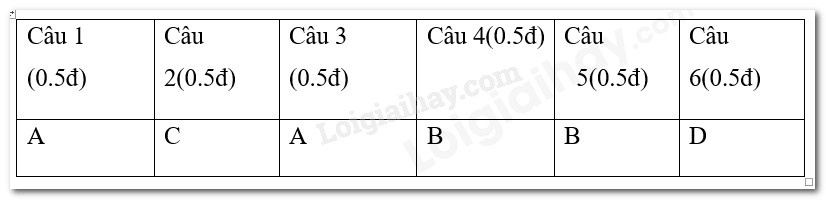 Cá chép vượt vũ môn hóa rồng, biểu tượng của sự kiên trì và thành công trong học tập, trên nền tranh dân gian rực rỡ sắc màu