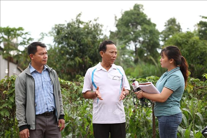 Người dân chăm sóc cà phê