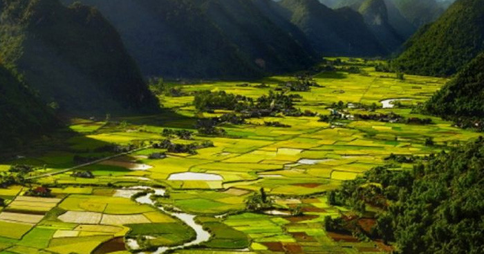 Sơ đồ tư duy tóm tắt tác phẩm Đất Nước giúp học sinh nắm bắt nhanh chóng nội dung chính
