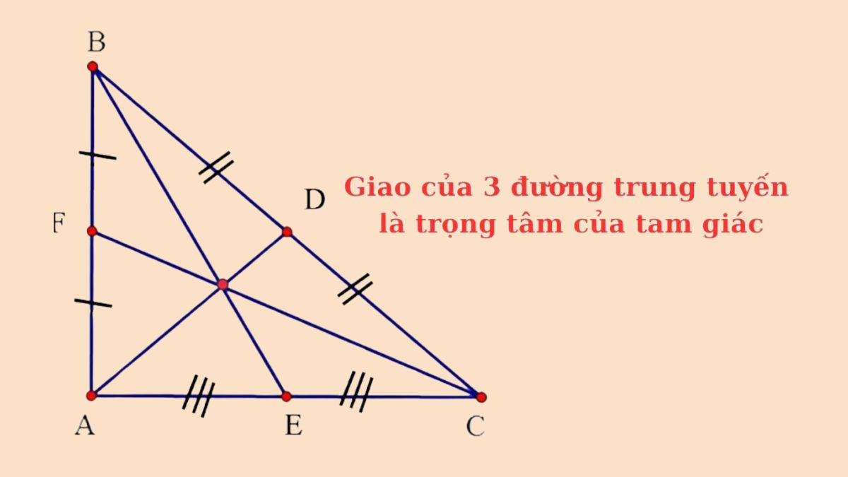 Đường trung tuyến ứng với cạnh huyền trong tam giác vuông
