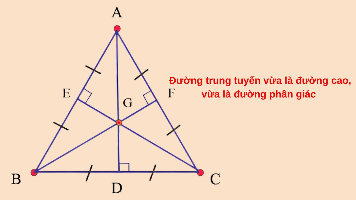 Đường trung tuyến trong tam giác đều