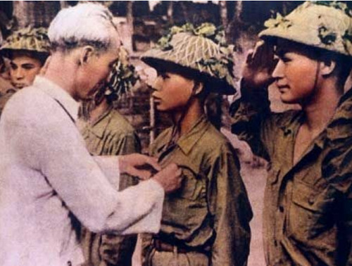 Cày tối thiểu giúp giảm xói mòn đất và bảo vệ hệ sinh vật trong đất.