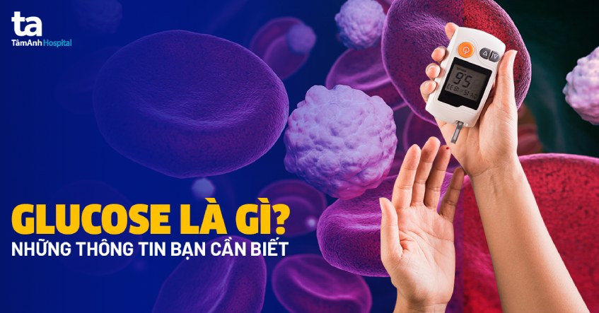 cấu trúc phân tử glucose