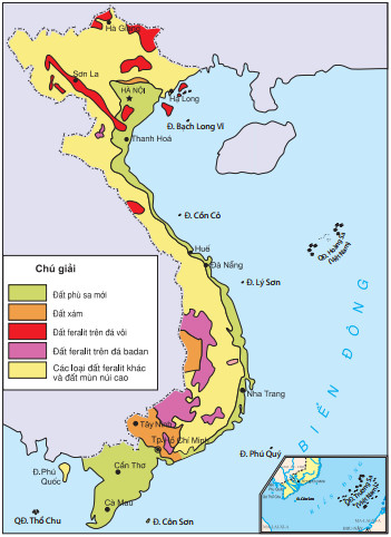 Lược đồ phân bố các loại đất chính ở Việt Nam