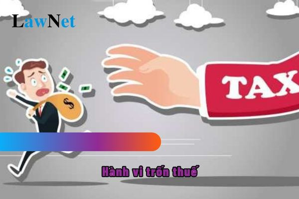 Các hành vi trốn thuế thường gặp theo quy định pháp luật