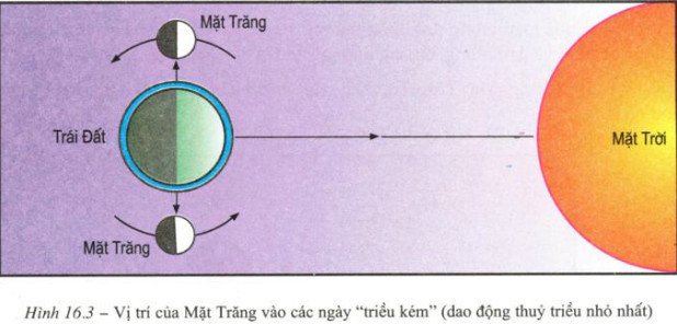 Triều kém xảy ra khi Mặt Trăng, Mặt Trời và Trái Đất vuông góc, lực hấp dẫn triệt tiêu nhau, tạo ra thủy triều ít chênh lệch, thường vào trăng khuyết đầu và cuối tháng.