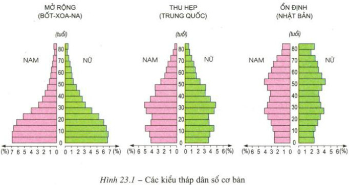 Tháp dân số