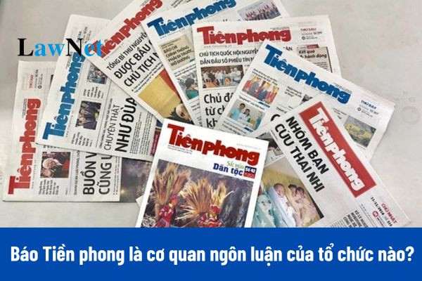 Hình ảnh Báo Tiền Phong qua các thời kỳ phát triển, thể hiện sự đổi mới và gắn bó với thanh niên Việt Nam