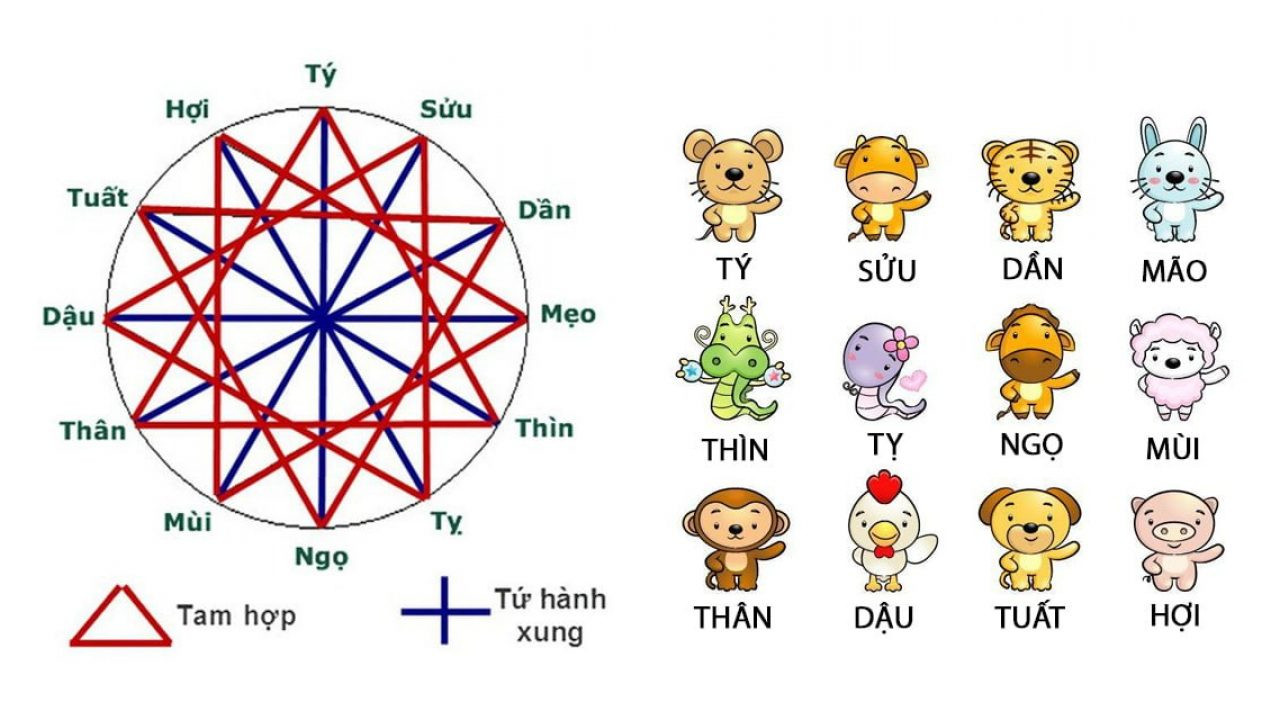 Hình ảnh minh họa các con giáp trong tứ hành xung với biểu tượng phong thủy