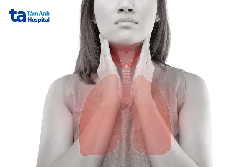 Lông mao có chức năng đẩy chất nhầy và các hạt bụi bẩn ra khỏi phổi