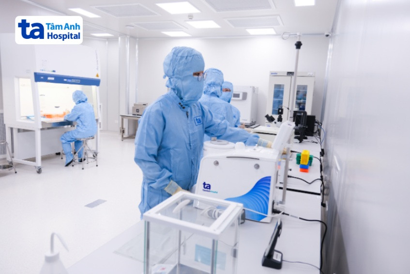 Quy trình điều trị ung thư bằng tế bào gốc