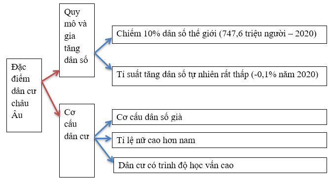 Sơ đồ tư duy về đặc điểm dân cư châu Âu, minh họa các yếu tố như quy mô, cơ cấu, phân bố, chất lượng dân số, di cư và đô thị hóa