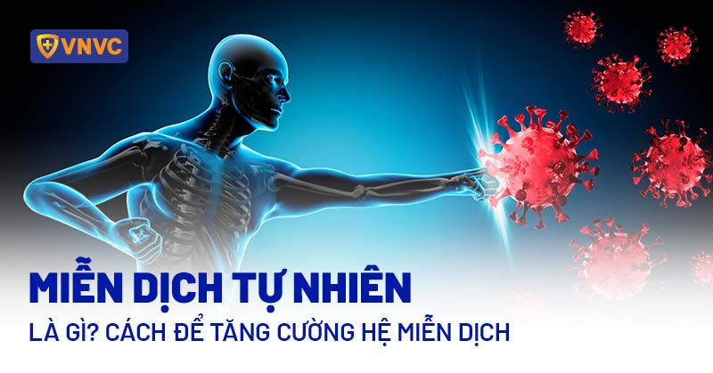 Hình ảnh minh họa các loại vi sinh vật
