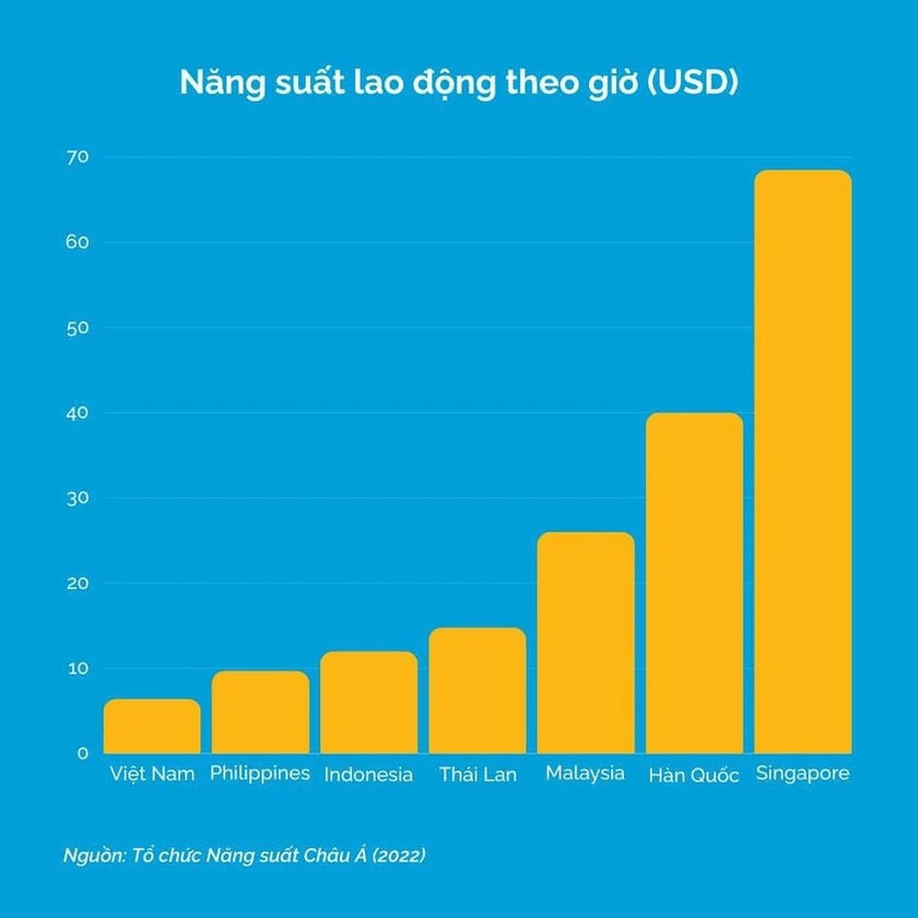 So sánh năng suất lao động giữa Việt Nam và các nước trong khu vực, minh họa sự khác biệt về hiệu quả làm việc và đóng góp vào nền kinh tế