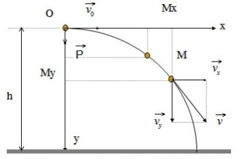 Minh họa chuyển động ném ngang với các thành phần vận tốc và gia tốc